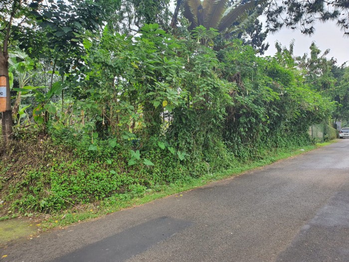 Tanah Kavling Dijual Bukit Dago Bandung